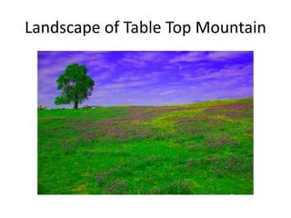 Landscape of Table Top Mountain
 