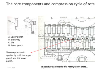 12-07-2016 Sagar Kishor Savale 279
The core components and compression cycle of rotar
A: upper punch
B: die cavity
C: die
D: lower punch
The compression is
applied by both the upper
punch and the lower
punch.
The compression cycle of a rotary tablet press
 