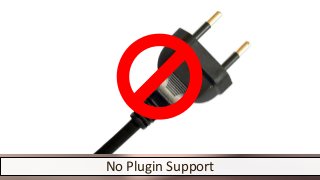 No Plugin Support
 