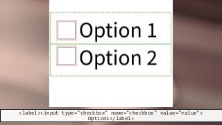 <label><input type="checkbox" name="checkbox" value="value">
Option1</label>
 