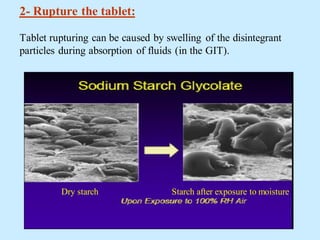 2- Rupture the tablet:
Tablet rupturing can be caused by swelling of the disintegrant
particles during absorption of fluids (in the GIT).
Dry starch Starch after exposure to moisture
 