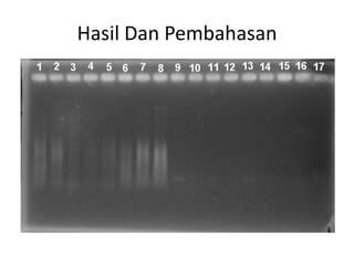 Hasil Dan Pembahasan
 