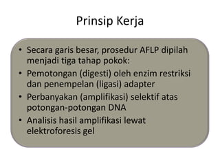 Prinsip Kerja

• Secara garis besar, prosedur AFLP dipilah
  menjadi tiga tahap pokok:
• Pemotongan (digesti) oleh enzim restriksi
  dan penempelan (ligasi) adapter
• Perbanyakan (amplifikasi) selektif atas
  potongan-potongan DNA
• Analisis hasil amplifikasi lewat
  elektroforesis gel
 