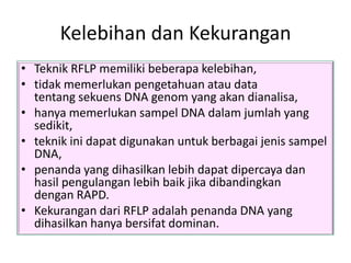 Kelebihan dan Kekurangan
• Teknik RFLP memiliki beberapa kelebihan,
• tidak memerlukan pengetahuan atau data
  tentang sekuens DNA genom yang akan dianalisa,
• hanya memerlukan sampel DNA dalam jumlah yang
  sedikit,
• teknik ini dapat digunakan untuk berbagai jenis sampel
  DNA,
• penanda yang dihasilkan lebih dapat dipercaya dan
  hasil pengulangan lebih baik jika dibandingkan
  dengan RAPD.
• Kekurangan dari RFLP adalah penanda DNA yang
  dihasilkan hanya bersifat dominan.
 