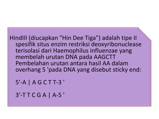 HindIII (diucapkan "Hin Dee Tiga") adalah tipe II
  spesifik situs enzim restriksi deoxyribonuclease
  terisolasi dari Haemophilus influenzae yang
  membelah urutan DNA pada AAGCTT
  Pembelahan urutan antara hasil AA dalam
  overhang 5 'pada DNA yang disebut sticky end:
  5'-A | A G C T T-3 '
  3'-T T C G A | A-5 '
 