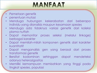 MANFAAT
• Pemetaan genetik
• penentuan mutasi
• Menduga hubungan kekerabatan dari beberapa
  individu yang dianalisis maupun kesamaan spesies
• Menduga ada tidaknya variasi genetik dari koleksi
  plama nutfah
• Dapat memonitor proses seleksi (melalui linkage)
  berbagai karakter
• Dapat memilah-milah komponen genetik dari karakter
  kuantitatif
• Dapat menganalisis gen yang berasal dari proses
  transformasi genetik
• Bersifat kodominan sehinggan dapat mendeteksi
  adanya heterozigositas
• Memiliki kemampuan memisahkan yang tinggi pada
  tingkat spesies, populasi
 