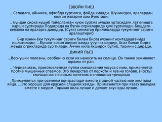 Ingliz tilidan | PPT