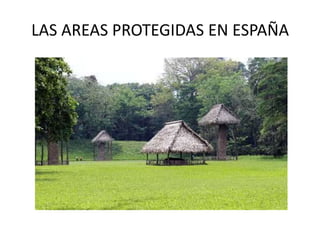 LAS AREAS PROTEGIDAS EN ESPAÑA
 