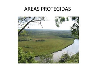 AREAS PROTEGIDAS
 
