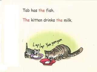 Tab´s kitten | PPT