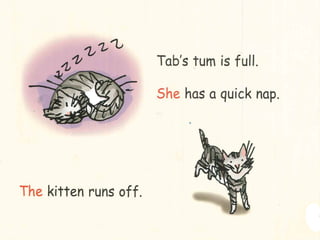 Tab´s kitten | PPT
