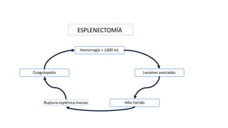 Hemorragia > 1000 mL
Lesiones asociadas
Hilio herido
Ruptura esplénica masiva
Coagulopatía
ESPLENECTOMÍA
 