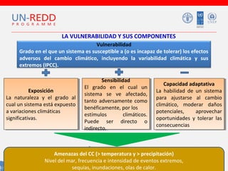 LA VULNERABILIDAD Y SUS COMPONENTES
Vulnerabilidad
Grado en el que un sistema es susceptible a (o es incapaz de tolerar) los efectos
adversos del cambio climático, incluyendo la variabilidad climática y sus
extremos (IPCC).

Exposición
Exposición
La naturaleza yy el grado al
La naturaleza
el grado al
cual un sistema está expuesto
cual un sistema está expuesto
aavariaciones climáticas
variaciones climáticas
significativas.
significativas.

Sensibilidad
Sensibilidad
El grado en el cual un
El grado en el cual un
sistema se ve afectado,
sistema se ve afectado,
tanto adversamente como
tanto adversamente como
benéficamente, por los
benéficamente, por los
estímulos
climáticos.
estímulos
climáticos.
Puede ser directo o
Puede ser directo o
indirecto.
indirecto.

Capacidad adaptativa
Capacidad adaptativa
La habilidad de un sistema
La habilidad de un sistema
para ajustarse al cambio
para ajustarse al cambio
climático, moderar daños
climático, moderar daños
potenciales,
aprovechar
potenciales,
aprovechar
oportunidades yy tolerar las
oportunidades tolerar las
consecuencias
consecuencias

Amenazas del CC (> temperatura y > precipitación)
Nivel del mar, frecuencia e intensidad de eventos extremos,
sequías, inundaciones, olas de calor.

 