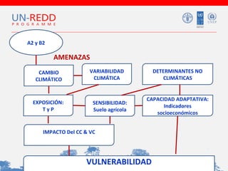 A2 y B2

AMENAZAS
CAMBIO
CLIMÁTICO

EXPOSICIÓN:
TyP

VARIABILIDAD
CLIMÁTICA

SENSIBILIDAD:
Suelo agrícola

DETERMINANTES NO
CLIMÁTICAS
CAPACIDAD ADAPTATIVA:
Indicadores
socioeconómicos

IMPACTO Del CC & VC

VULNERABILIDAD

 