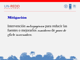 Mitigación
Intervención antropogénica para reducir las
fuentes o mejorarlos sumideros de gases de
efecto invernadero.

 