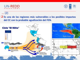 ... (2)
 Es una de las regiones más vulnerables a los posibles impactos
del CC con la probable agudización del FEN.

 