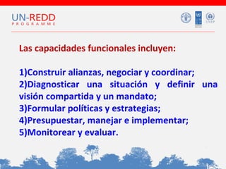 Las capacidades funcionales incluyen:
1)Construir alianzas, negociar y coordinar;
2)Diagnosticar una situación y definir una
visión compartida y un mandato;
3)Formular políticas y estrategias;
4)Presupuestar, manejar e implementar;
5)Monitorear y evaluar.

 