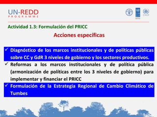 Actividad 1.3: Formulación del PRICC

Acciones específicas
 Diagnóstico de los marcos institucionales y de políticas públicas
sobre CC y GdR 3 niveles de gobierno y los sectores productivos.
 Reformas a los marcos institucionales y de política pública
(armonización de políticas entre los 3 niveles de gobierno) para
implementar y financiar el PRICC
 Formulación de la Estrategia Regional de Cambio Climático de
Tumbes

 