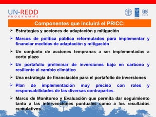 Componentes que incluirá el PRICC:
 Estrategias y acciones de adaptación y mitigación
 Marcos de política pública reformulados para implementar y
financiar medidas de adaptación y mitigación
 Un conjunto de acciones tempranas a ser implementadas a
corto plazo
 Un portafolio preliminar de inversiones bajo en carbono y
resiliente al cambio climático
 Una estrategia de financiación para el portafolio de inversiones
 Plan de implementación muy preciso con
responsabilidades de las diversas contrapartes.

roles

y

 Marco de Monitoreo y Evaluación que permita dar seguimiento
tanto a las intervenciones puntuales como a los resultados
cumulativos.

 
