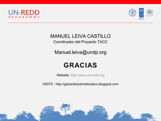 MANUEL LEIVA CASTILLO
Coordinador del Proyecto TACC

Manuel.leiva@undp.org

GRACIAS
Website: http://www.un-redd.org
VISITA : http://gdcambioclimaticotacc.blogspot.com

 