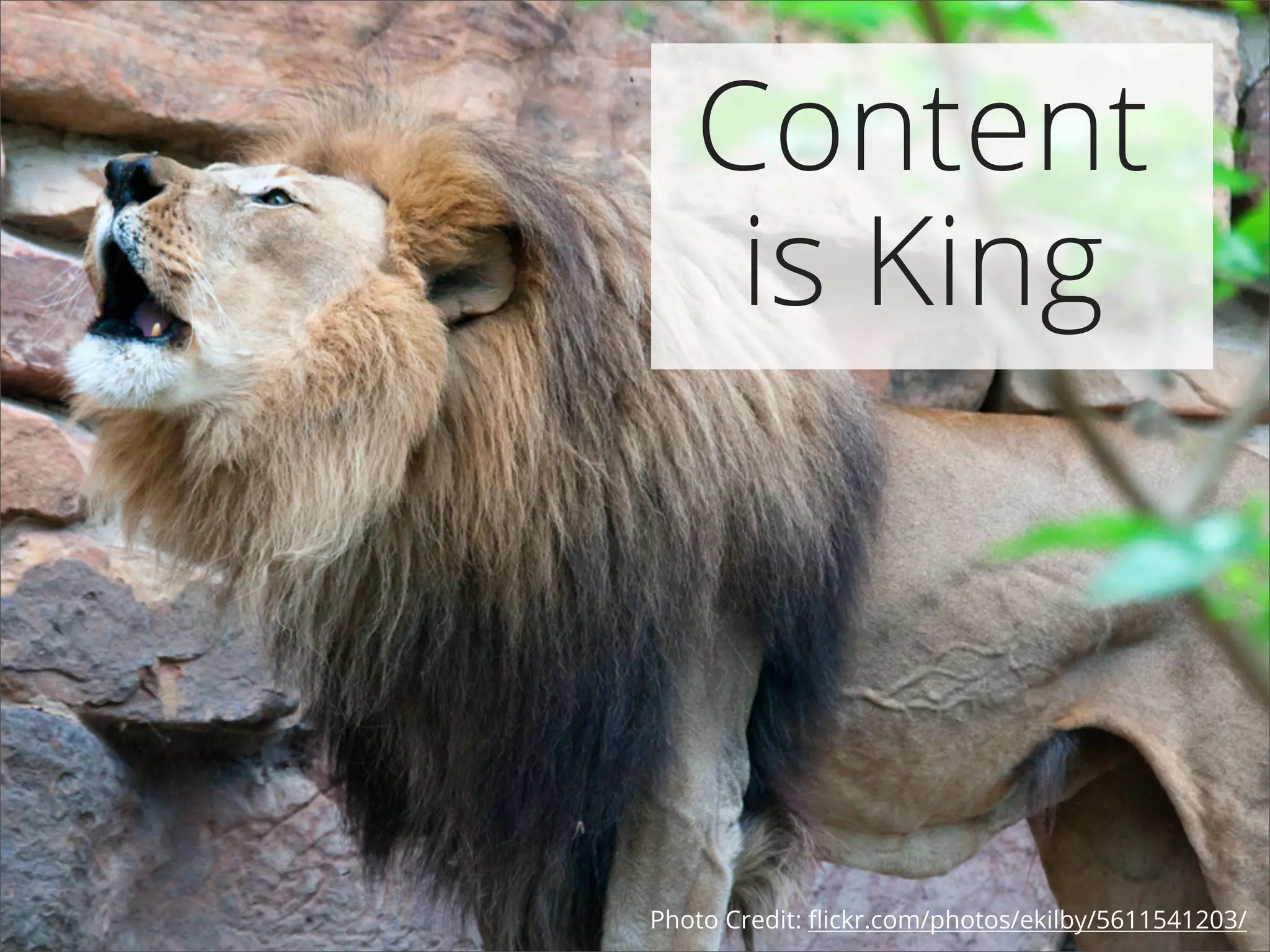 Content
is King
Photo Credit: ﬂickr.com/photos/ekilby/5611541203/
 