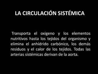 LA CIRCULACIÓN SISTÉMICA
Transporta el oxigeno y los elementos
nutritivos hasta los tejidos del organismo y
elimina el anhídrido carbónico, los demás
residuos y el calor de los tejidos. Todas las
arterias sistémicas derivan de la aorta.
 