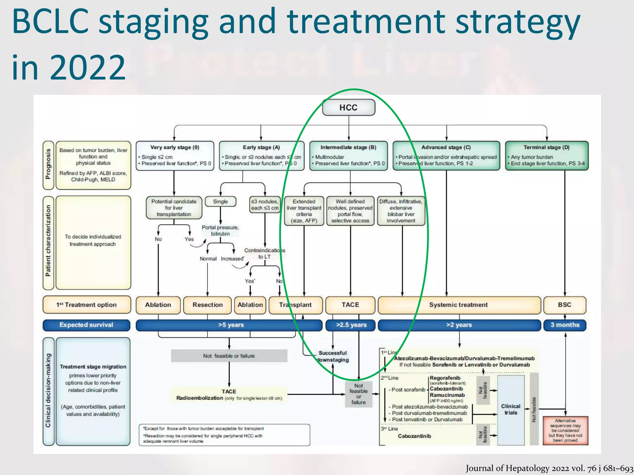 BCLC staging and treatment strategy
in 2022
Journal of Hepatology 2022 vol. 76 j 681–693
 