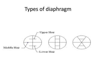Types of diaphragm
 