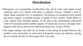 Distribution
Mosquitoes are cosmopolitan (world-wide): they are in every land region except
Antarctica and a few islands with polar or subpolar climates. Iceland is such an
island, being essentially free of mosquitoes. The absence of mosquitoes from Iceland
and similar regions is probably because of quirks of their climate, which differs in
some respects from mainland regions. At the start of the uninterrupted continental
winter of Greenland and the northern regions of Eurasia and America, the pupa enters
diapause under the ice that covers sufficiently deep water. Ujváry, (2010).
The imago emerges only after the ice breaks in late spring. In Iceland however, the
weather is less predictable. In mid-winter it frequently warms up suddenly, causing
the ice to break, but then to freeze again after a few days.
 