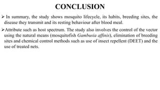 CONCLUSION
 In summary, the study shows mosquito lifecycle, its habits, breeding sites, the
disease they transmit and its resting behaviour after blood meal.
Attribute such as host spectrum. The study also involves the control of the vector
using the natural means (mosquitofish Gambusia affinis), elimination of breeding
sites and chemical control methods such as use of insect repellent (DEET) and the
use of treated nets.
 