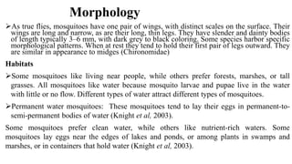 Morphology
As true flies, mosquitoes have one pair of wings, with distinct scales on the surface. Their
wings are long and narrow, as are their long, thin legs. They have slender and dainty bodies
of length typically 3–6 mm, with dark grey to black coloring. Some species harbor specific
morphological patterns. When at rest they tend to hold their first pair of legs outward. They
are similar in appearance to midges (Chironomidae)
Habitats
Some mosquitoes like living near people, while others prefer forests, marshes, or tall
grasses. All mosquitoes like water because mosquito larvae and pupae live in the water
with little or no flow. Different types of water attract different types of mosquitoes.
Permanent water mosquitoes: These mosquitoes tend to lay their eggs in permanent-to-
semi-permanent bodies of water (Knight et al, 2003).
Some mosquitoes prefer clean water, while others like nutrient-rich waters. Some
mosquitoes lay eggs near the edges of lakes and ponds, or among plants in swamps and
marshes, or in containers that hold water (Knight et al, 2003).
 