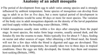 Anatomy of an adult mosquito
The period of development from egg to adult varies among species and is strongly
influenced by ambient temperature. Some species of mosquitoes can develop from
egg to adult in as few as five days, but a more typical period of development in
tropical conditions would be some 40 days or more for most species. The variation
of the body size in adult mosquitoes depends on the density of the larval population
and food supply within the breeding water (Brittain, 1990).
Adult mosquitoes usually mate within a few days after emerging from the pupal
stage. In most species, the males form large swarms, usually around dusk, and the
females fly into the swarms to mate. Males typically live for about 5–7 days, feeding
on nectar and other sources of sugar. After obtaining a full blood meal, the female
will rest for a few days while the blood is digested and eggs are developed. This
process depends on the temperature, but usually takes two to three days in tropical
conditions. Once the eggs are fully developed, the female lays them and resumes
host-seeking (Brittain, 1990).
 
