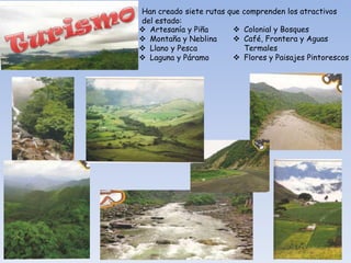Han creado siete rutas que comprenden los atractivos
del estado:
 Artesanía y Piña       Colonial y Bosques
 Montaña y Neblina      Café, Frontera y Aguas
 Llano y Pesca            Termales
 Laguna y Páramo        Flores y Paisajes Pintorescos
 