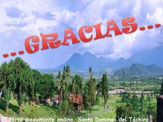 El fértil piedemonte andino. Santo Domingo del Táchira.
 