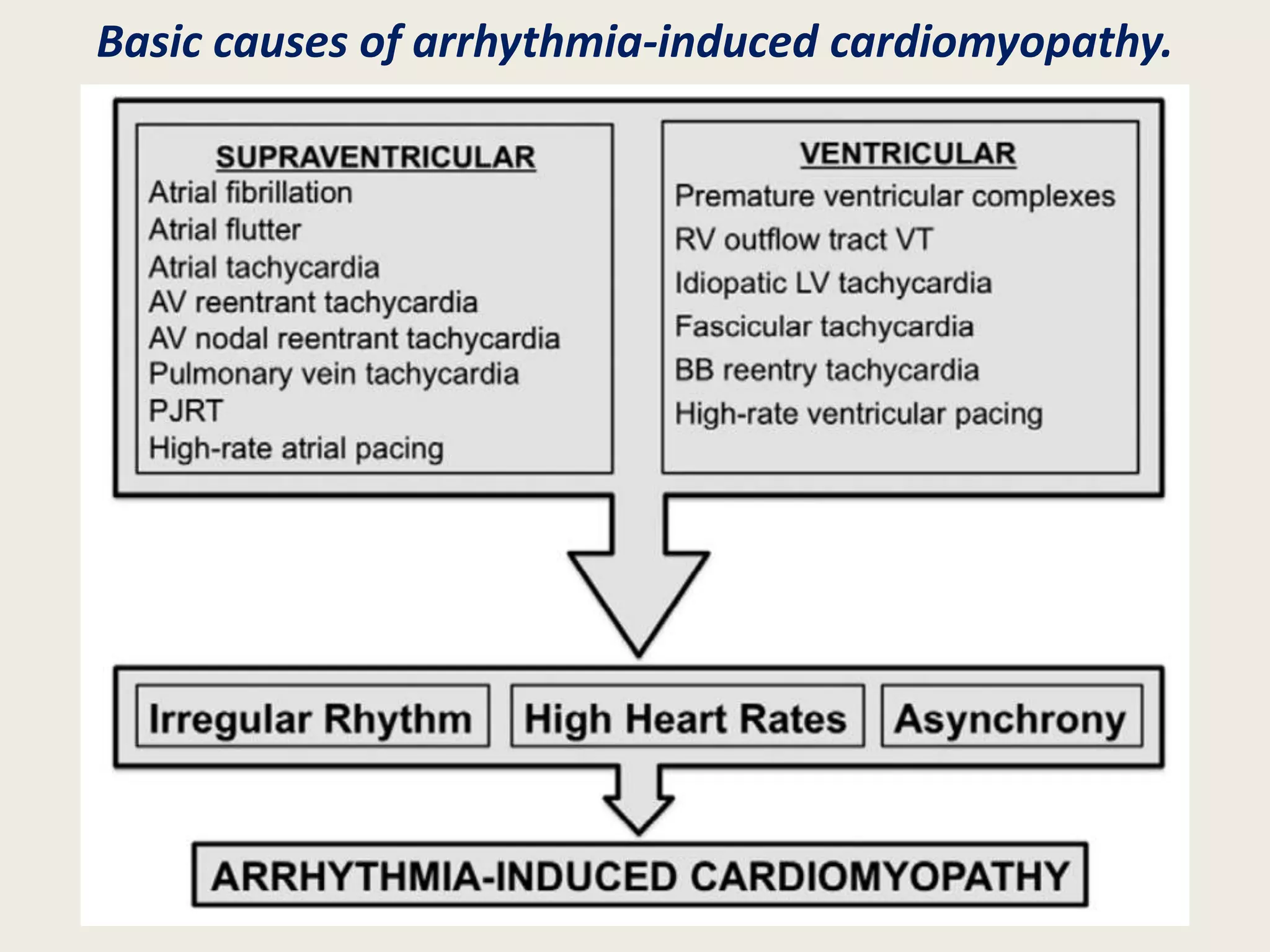 Basic causes of arrhythmia-induced cardiomyopathy.
 