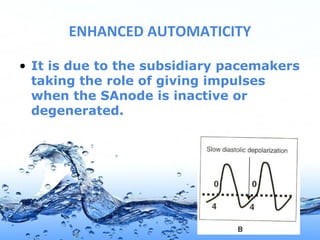Page 7
ENHANCED AUTOMATICITY
• It is due to the subsidiary pacemakers
taking the role of giving impulses
when the SAnode is inactive or
degenerated.
 
