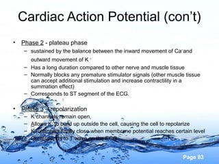 Page 83
Cardiac Action Potential (con’t)
• Phase 2 - plateau phase
– sustained by the balance between the inward movement of Ca+
and
outward movement of K +
– Has a long duration compared to other nerve and muscle tissue
– Normally blocks any premature stimulator signals (other muscle tissue
can accept additional stimulation and increase contractility in a
summation effect)
– Corresponds to ST segment of the ECG.
• Phase 3 – repolarization
– K+
channels remain open,
– Allows K+
to build up outside the cell, causing the cell to repolarize
– K +
channels finally close when membrane potential reaches certain level
– Corresponds to T wave on the ECG
 