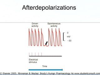 Page 87
Afterdepolarizations
 