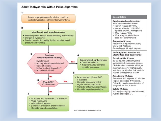 How Long Does Atrial Tachycardia Last Best Design Idea