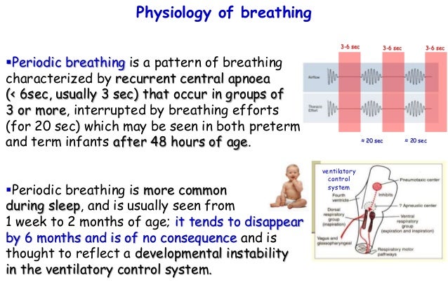 newborn breathing pattern