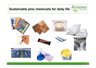 Sustainable pine chemicals for daily life




                                            12
 