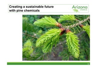 Creating a sustainable future
with pine chemicals




                                14
 