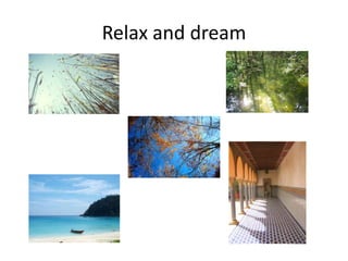 Relax and dream
 