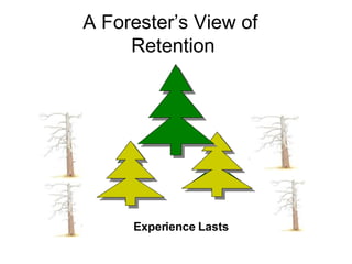 A Forester’s View of  Retention Experience Lasts 
