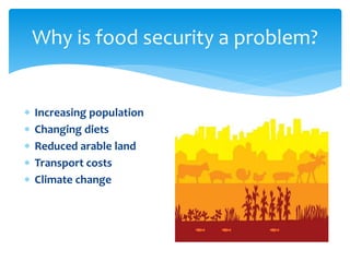 Why is food security a problem? 
 Increasing population 
 Changing diets 
 Reduced arable land 
 Transport costs 
 Climate change 
 