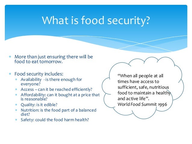 World Food Security Summit World Food Security Summit