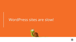 WordPress sites are slow!
 