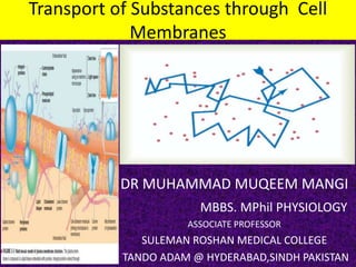 Transport of Substances through Cell
Membranes
DR MUHAMMAD MUQEEM MANGI
MBBS. MPhil PHYSIOLOGY
ASSOCIATE PROFESSOR
SULEMAN ROSHAN MEDICAL COLLEGE
TANDO ADAM @ HYDERABAD,SINDH PAKISTAN
 