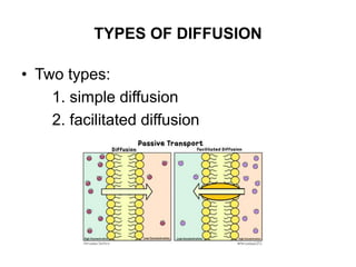 Transport across cell membrane basics.ppt