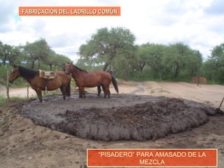 FABRICACIÓN DEL LADRILLO COMÚNFABRICACIÓN DEL LADRILLO COMÚN
“PISADERO” PARA AMASADO DE LA
MEZCLA
 